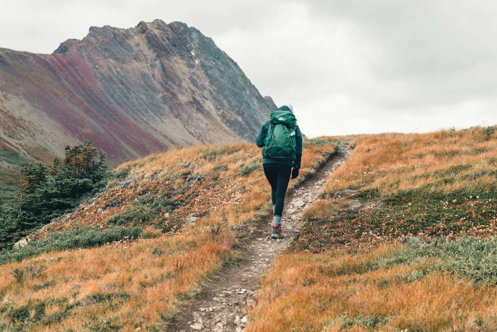 A person with a green backpack walks up a hillside trail on an overcast day